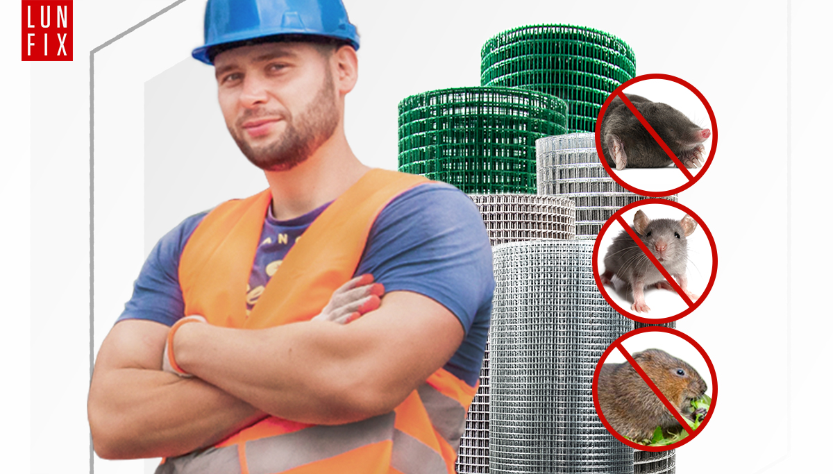 Jak se chránit před škůdci?