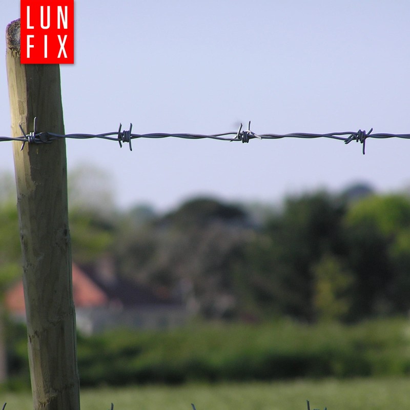 0e7b9e38db777dce3187fe9ab1666498