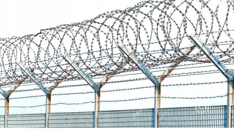 Drut ostrzowy prosty 50mb