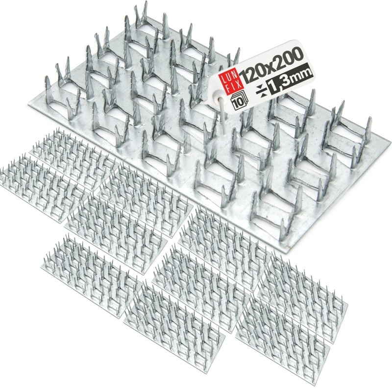 ae5997a20246382ea5424460da7f20b0