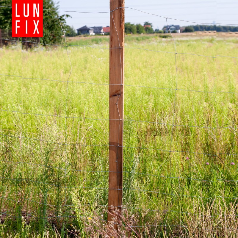 509c987cd8aa2a58987d9e6f81136658