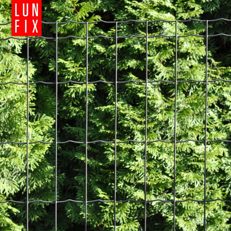 b16cfa41a68d36af76a005a8a4fd180c