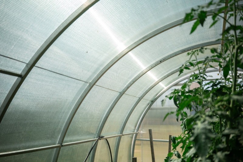 Szklarnia z poliwęglanu 3x6 m "tunel" profil 20x20 mm grubość 4 mm