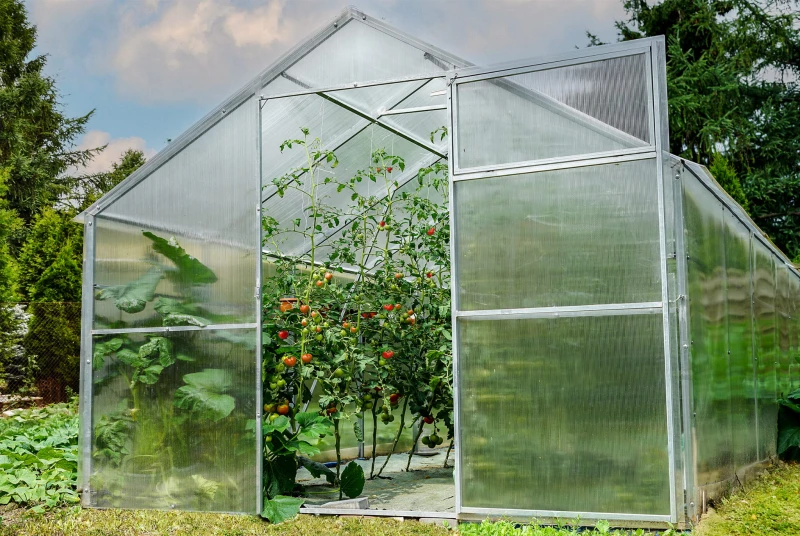 Polykarbonátový skleník 2,8x10m, profil 20x40mm, 6mm
