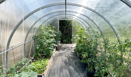 Polykarbonátový skleník 3x10m, profil 20x20mm, 3mm