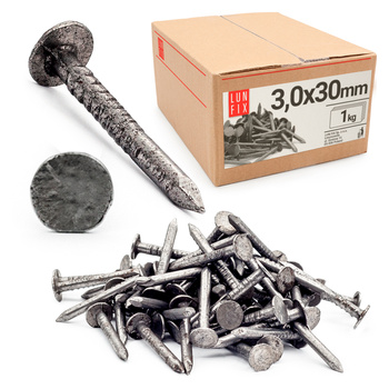 Střešní hřebíky 3x30 mm černé 1kg