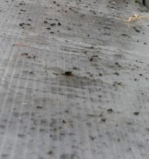 Jak se postarat o skleník po sezóně?